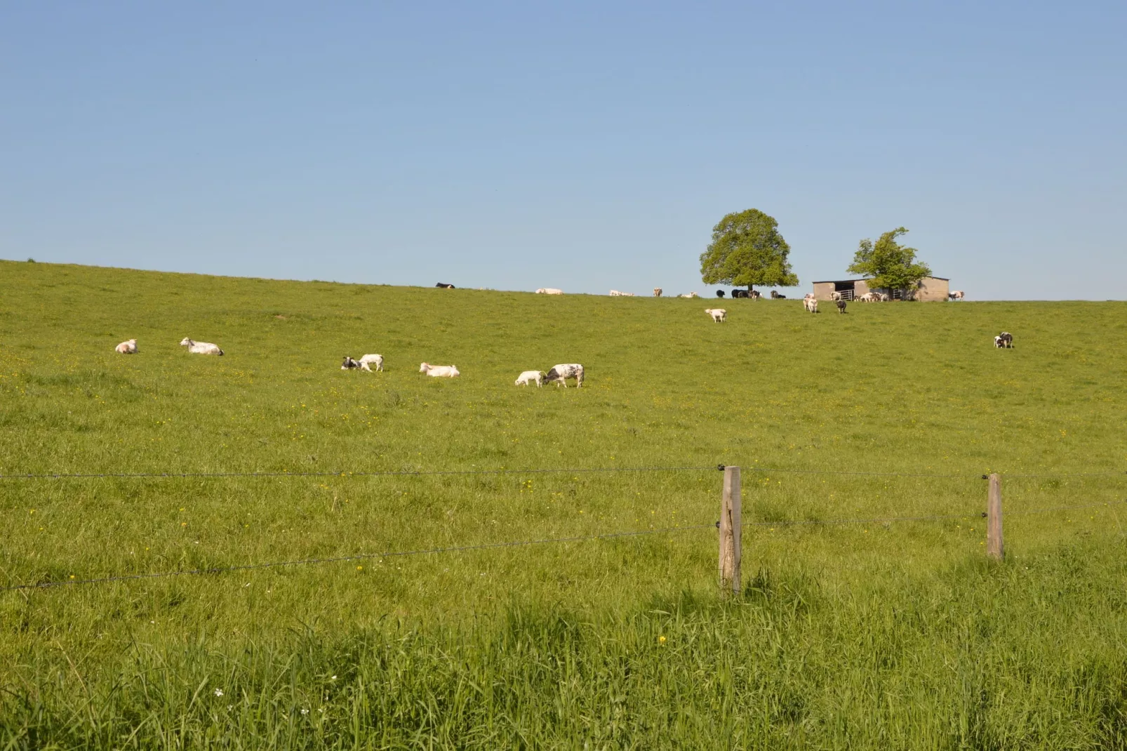 Le Refuge-Gebieden zomer 1km