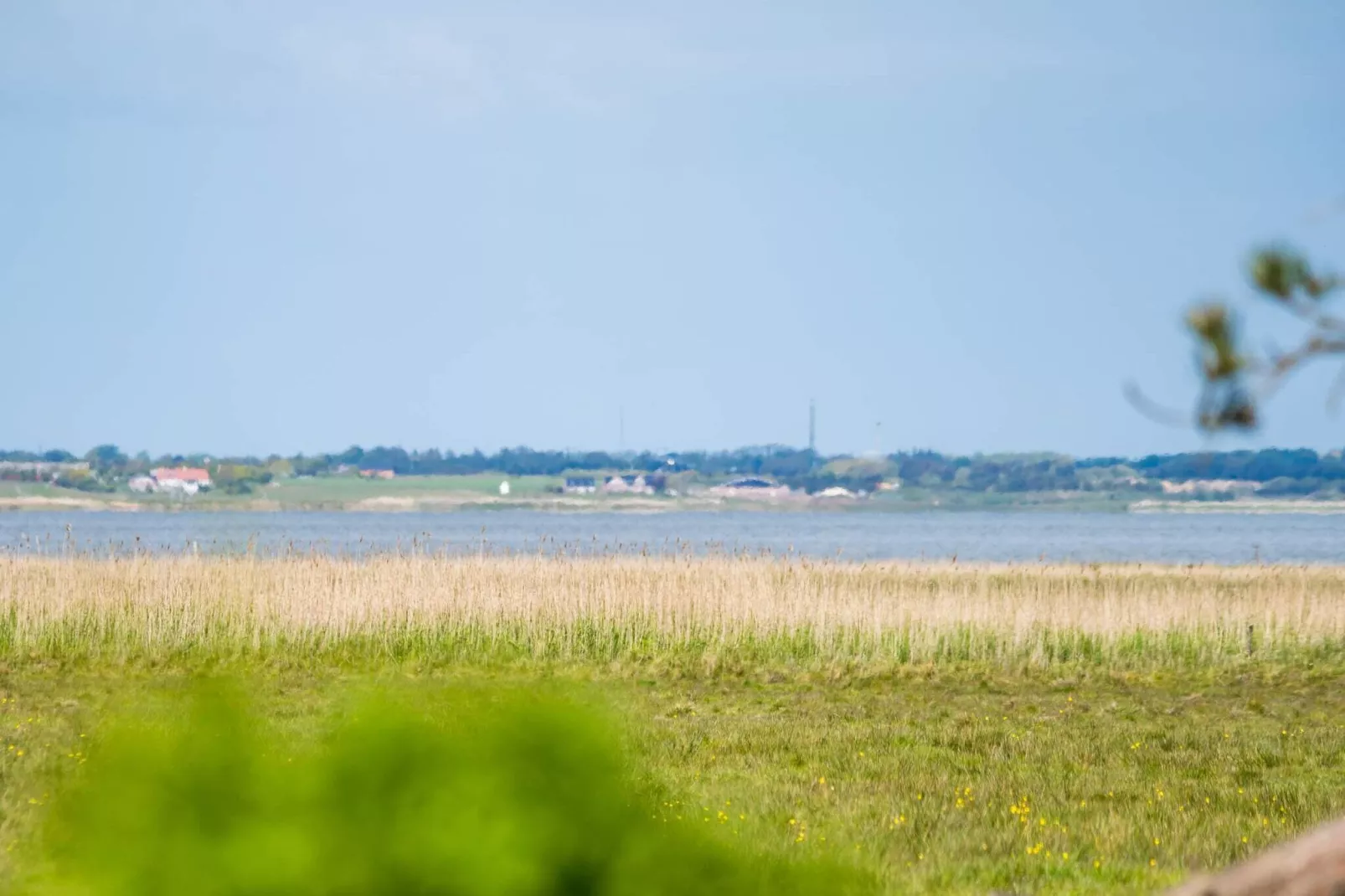 6 persoons vakantie huis in Blåvand-Waterzicht