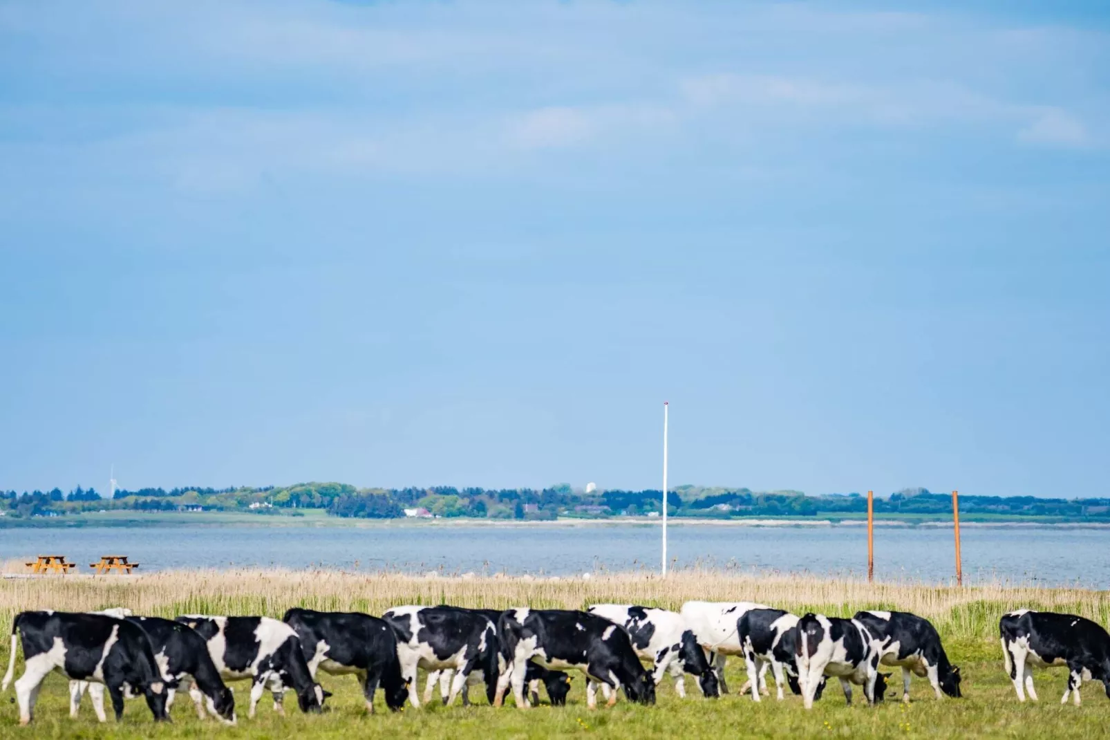 6 persoons vakantie huis in Blåvand-Waterzicht