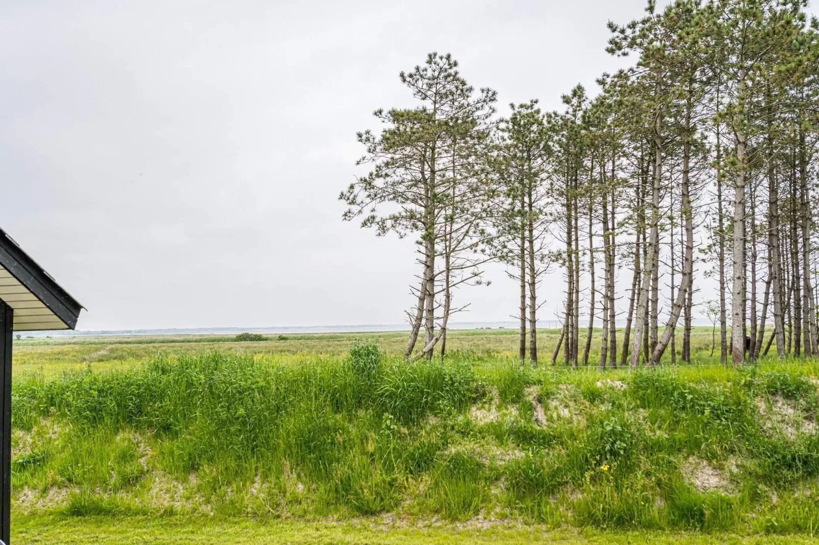 6 persoons vakantie huis in Blåvand-Waterzicht