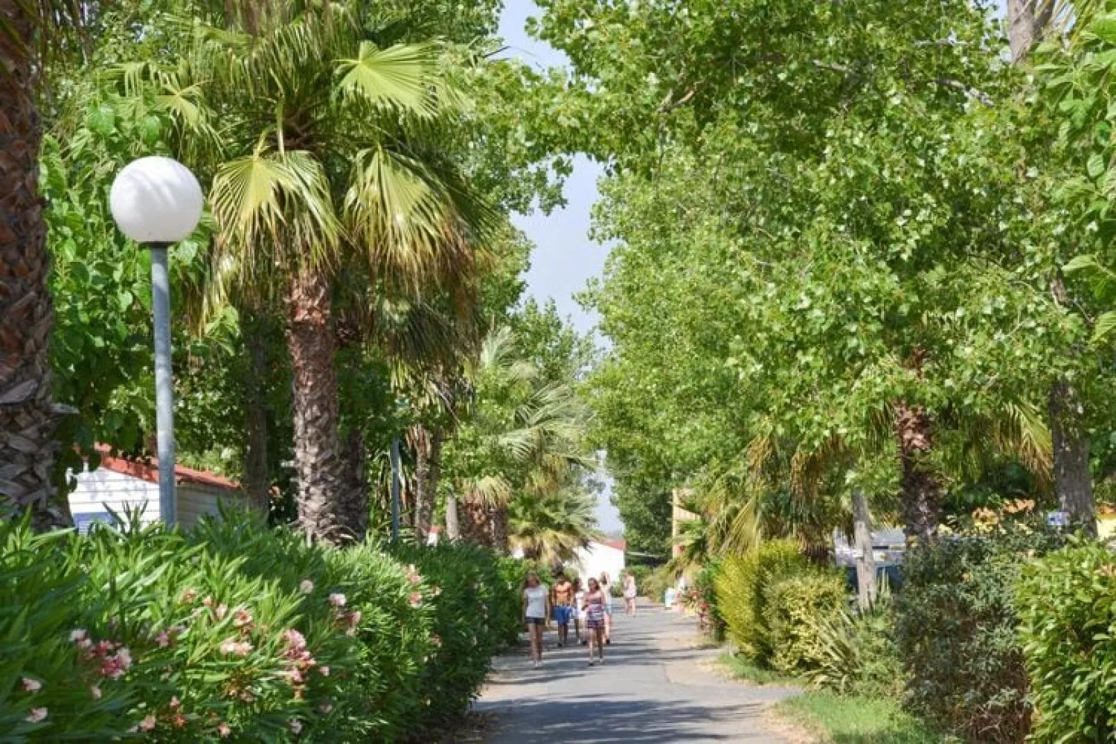 Camping L'Air Marin Vias-Plage  Mobilhome Acapulco 2CH-Uitzicht zomer