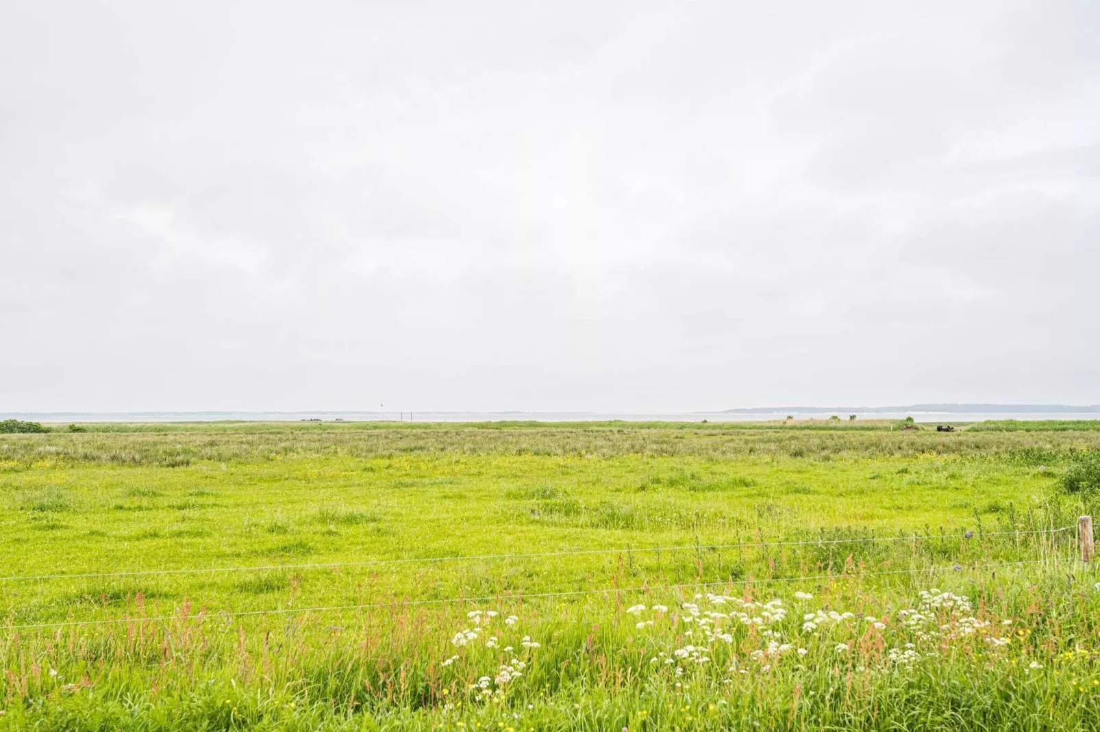 6 persoons vakantie huis in Blåvand-Waterzicht