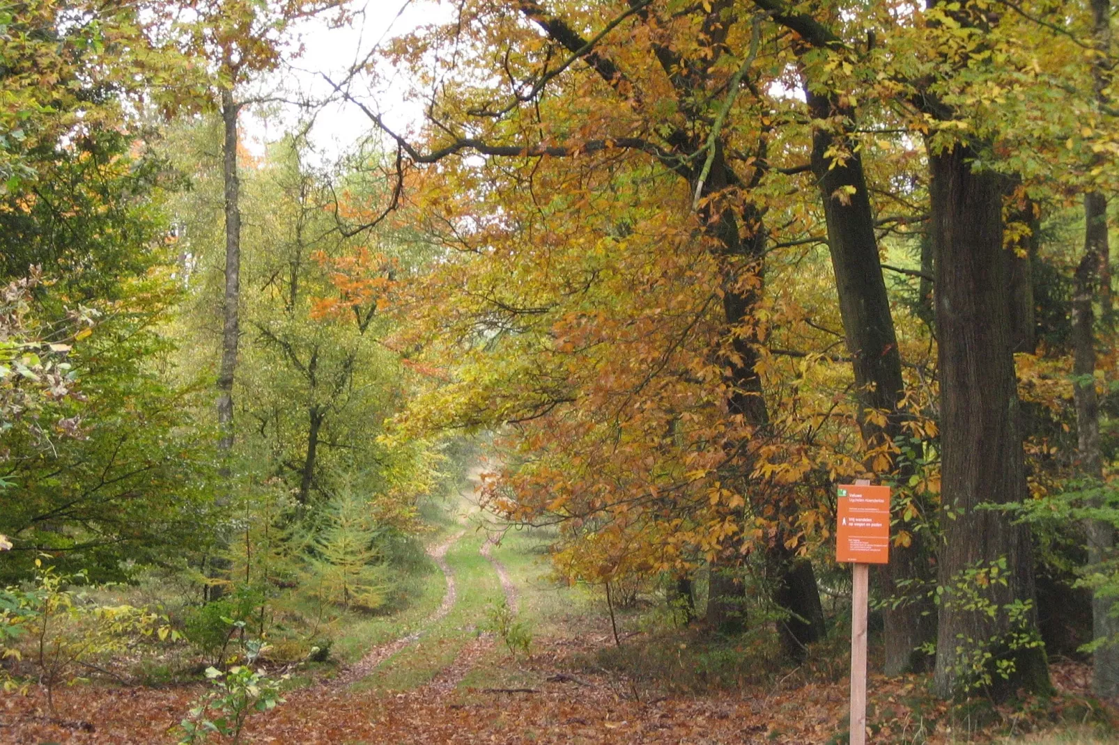 Bungalowpark Hoenderloo 3-Gebieden zomer 1km