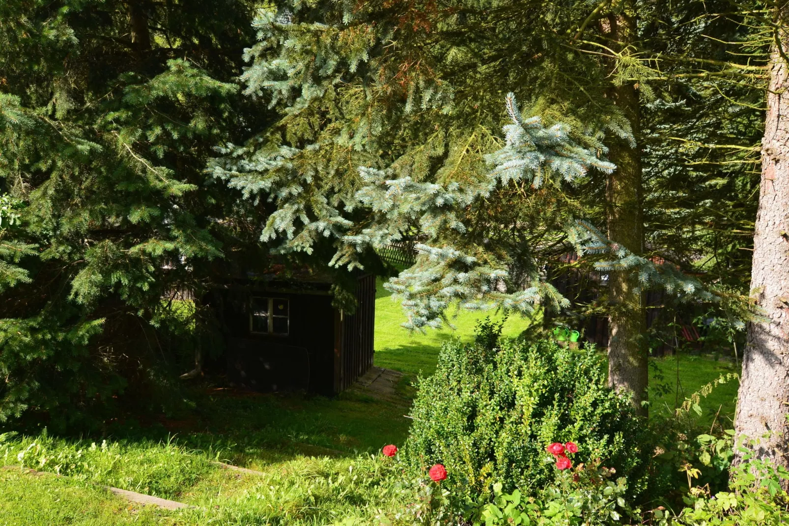 Ferienwohnung an der Talsperre Rauschenbach-Tuinen zomer