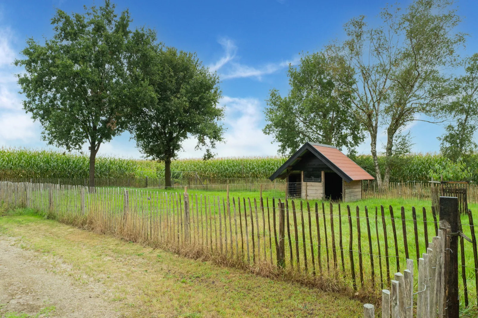 Bouwhoeve-Gebieden zomer 1km