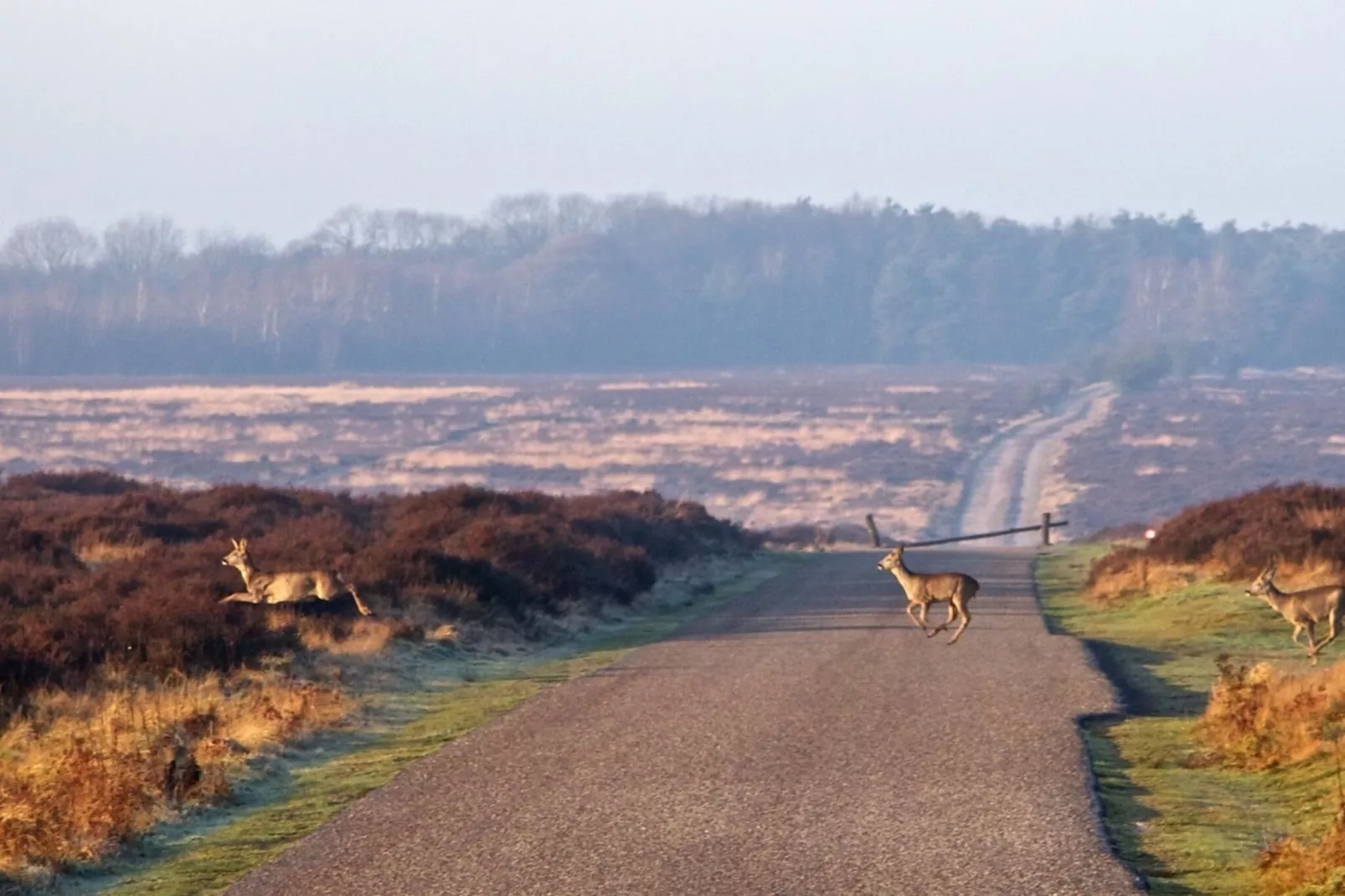 Landgoed De IJsvogel 9-Gebieden zomer 5km