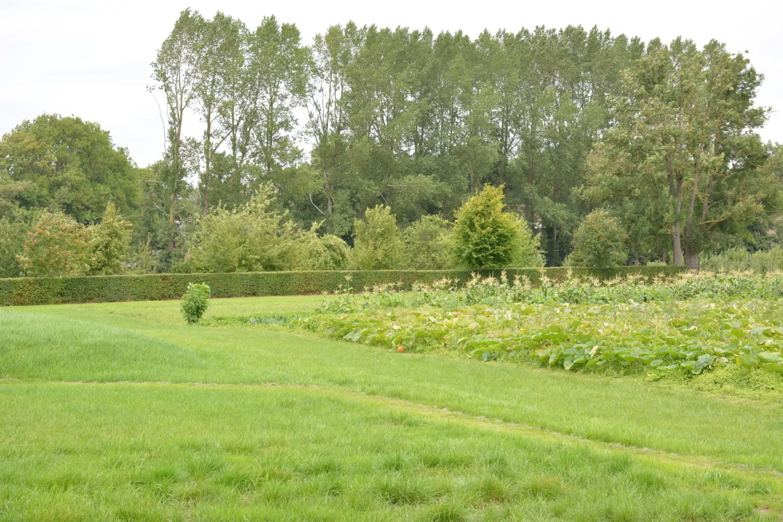 La Ferme Sainte-Adèle-Tuinen zomer