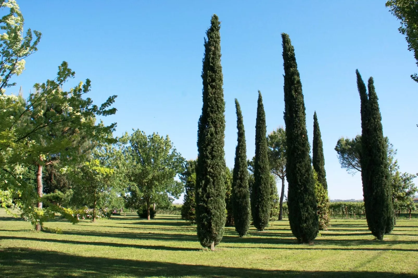 Villa La Commenda Nove-Tuinen zomer