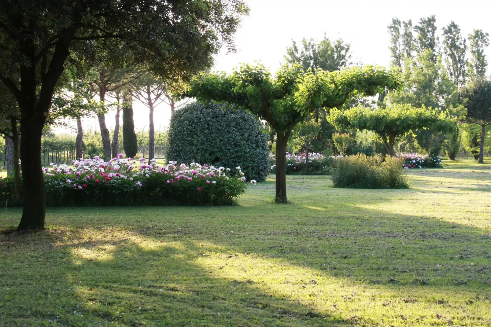 Villa La Commenda Nove-Tuinen zomer