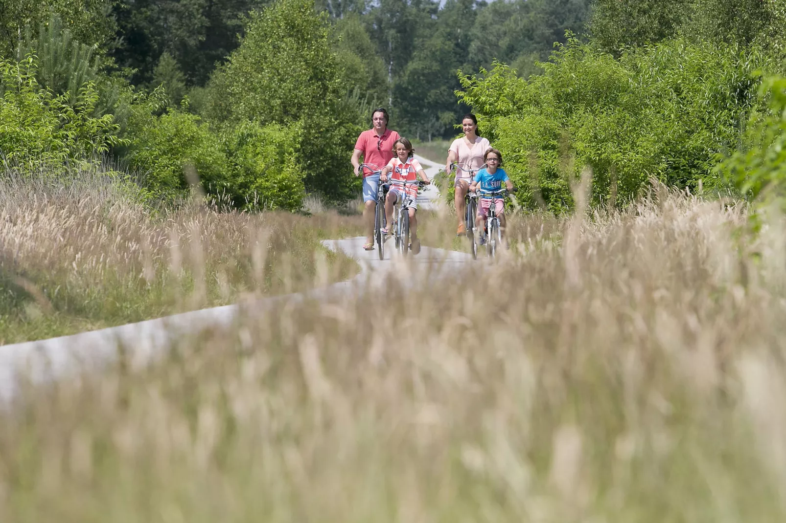 Bungalowpark Hoenderloo 5-Gebieden zomer 5km