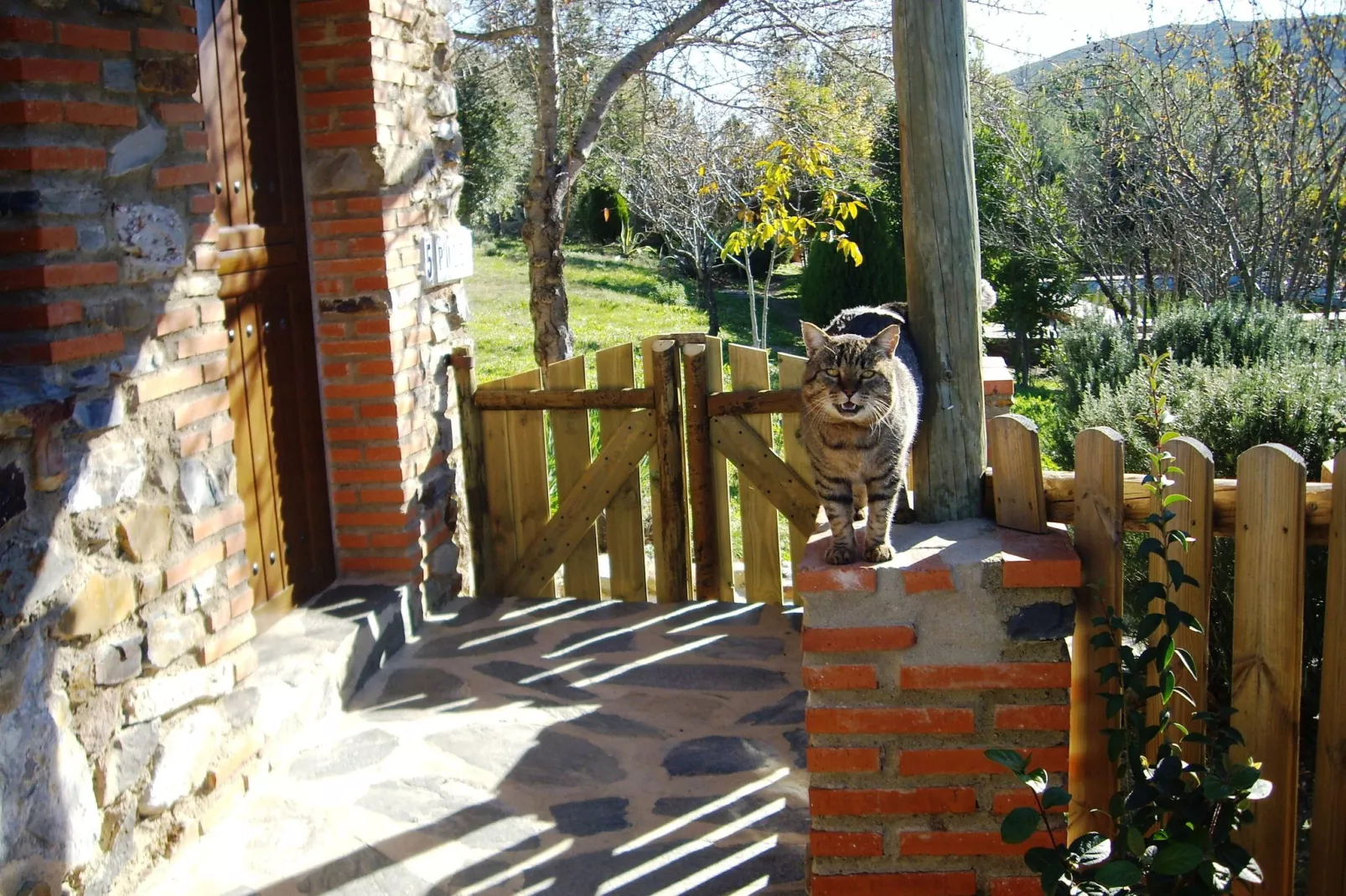 Cabaña Poleo-Terrasbalkon