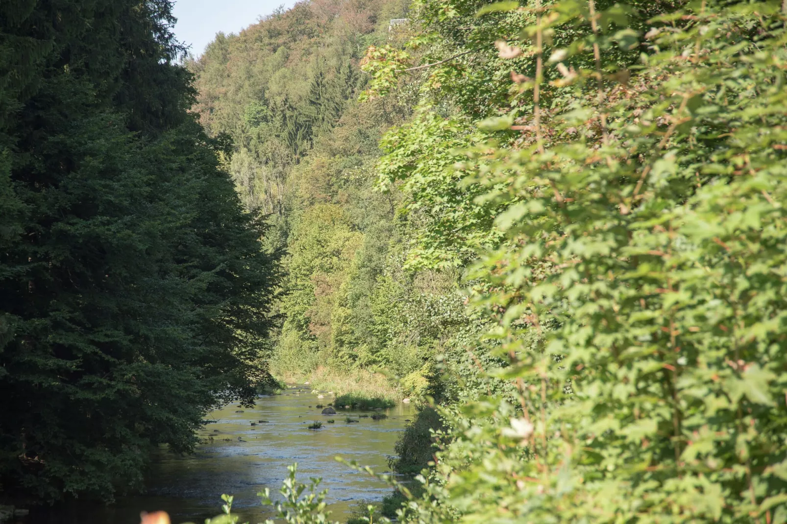 Ferienhaus Oederan-Gebieden zomer 5km