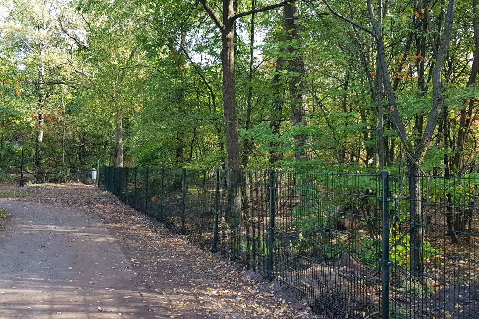 Vakantiepark De Rimboe & De Woeste Hoogte 1-Uitzicht zomer