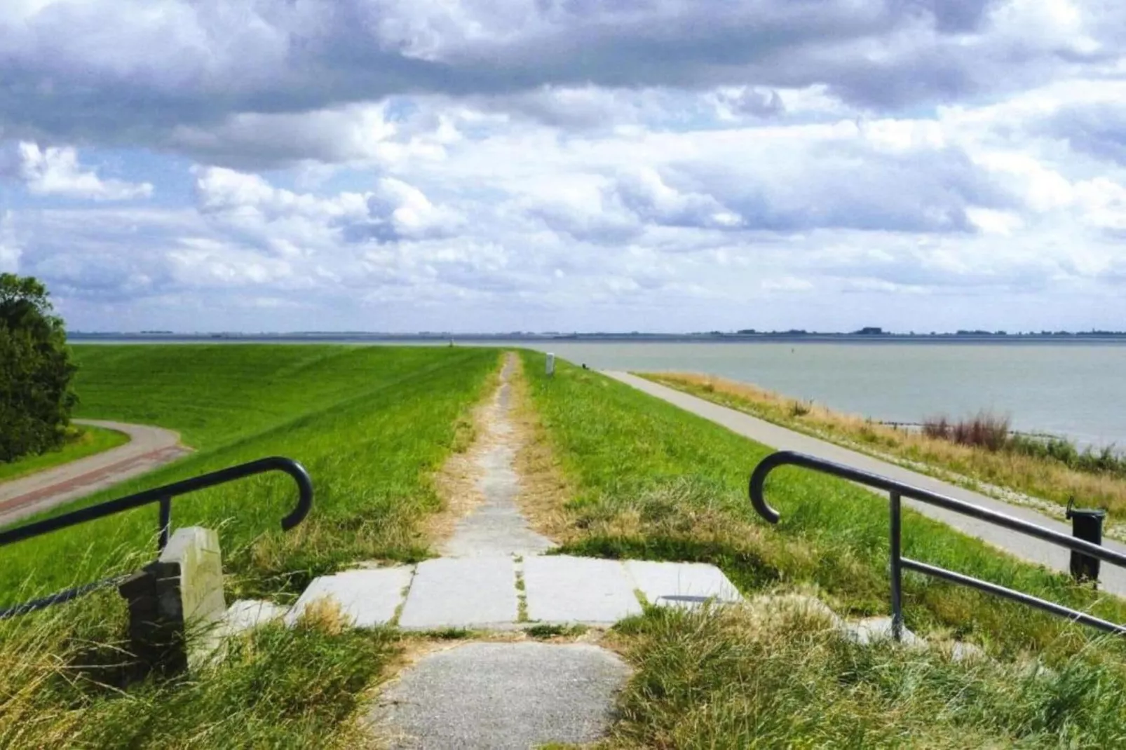 Scheldeoord 97-Gebieden zomer 1km