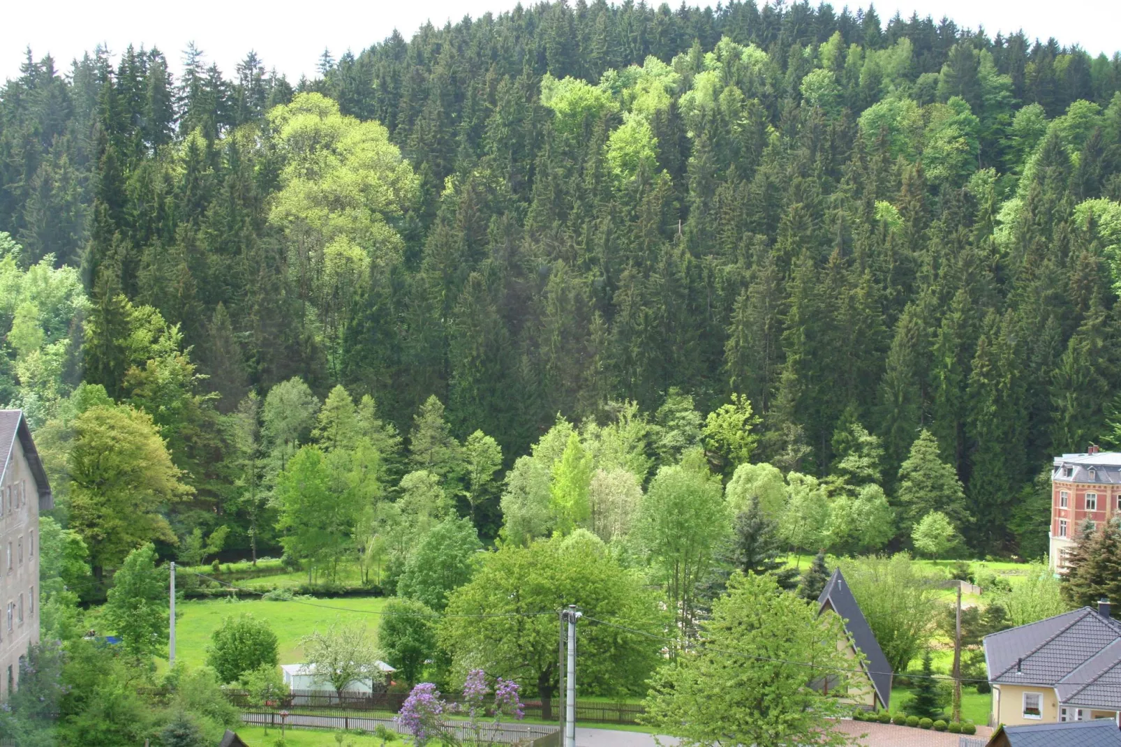 Villa im Erzgebirge-Uitzicht zomer