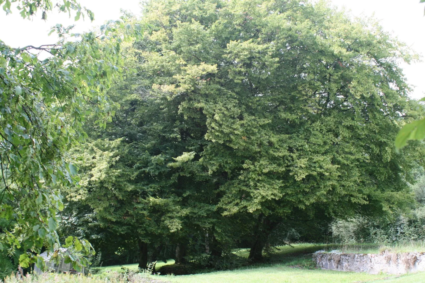 Maison de la Molignée-Gebieden zomer 1km