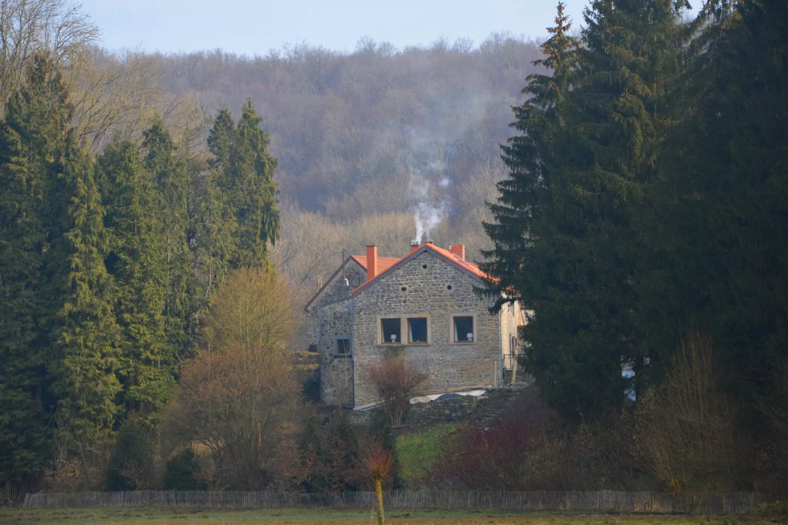 Vue sur le Chateau de Montaigle-Buitenkant zomer