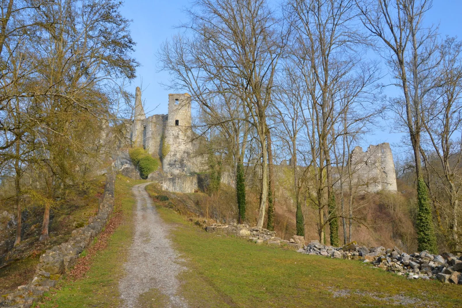 Vue sur le Chateau de Montaigle-Uitzicht zomer