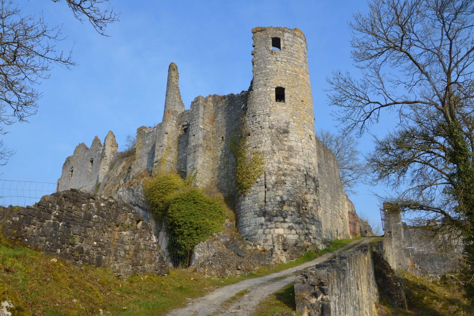 Vue sur le Chateau de Montaigle-Uitzicht zomer