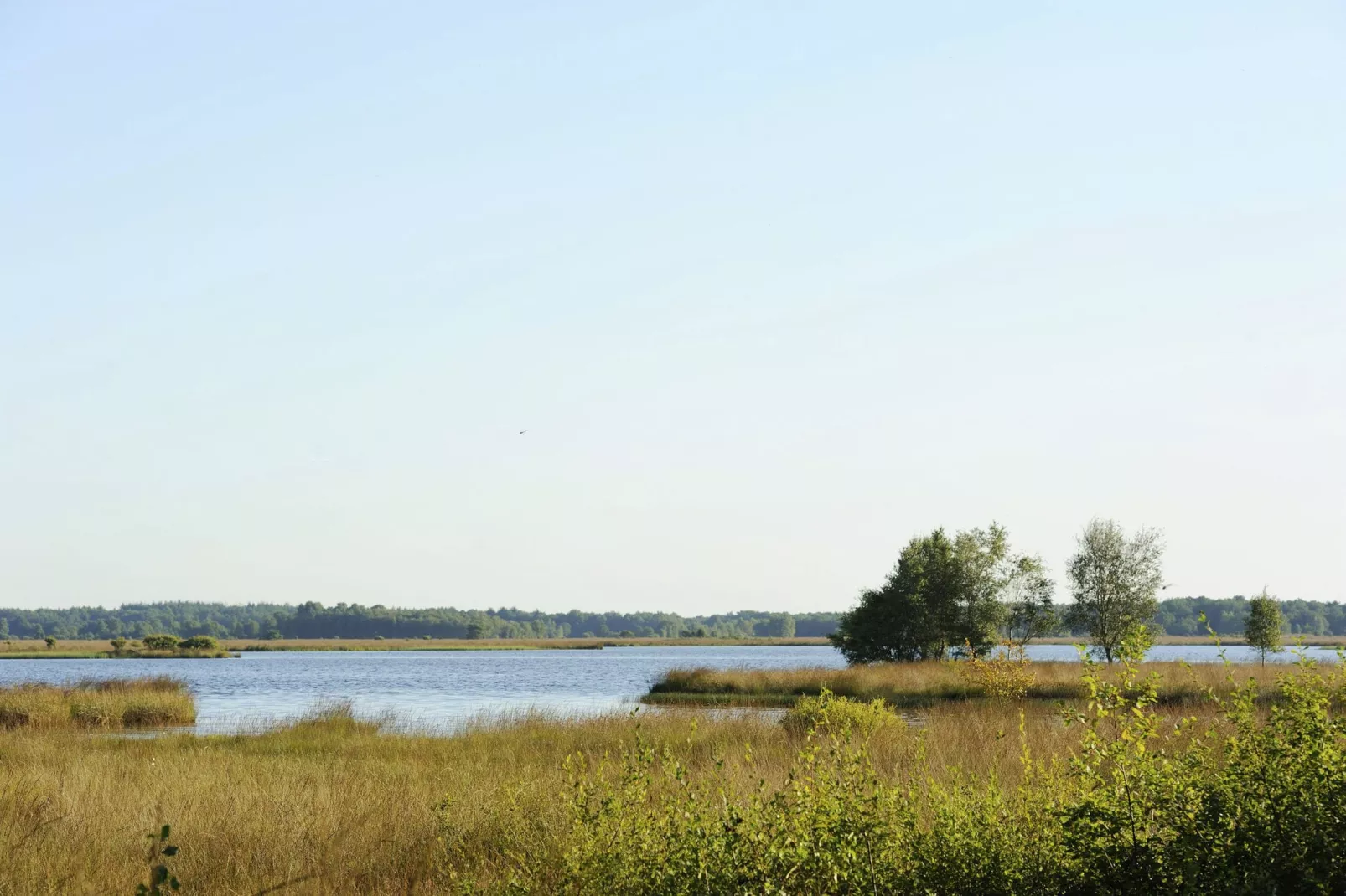 RCN Vakantiepark de Noordster 1-Gebieden zomer 1km