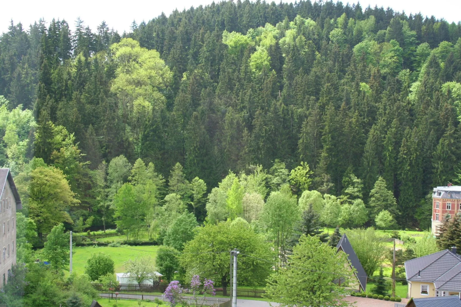 Villa im Erzgebirge-Uitzicht zomer