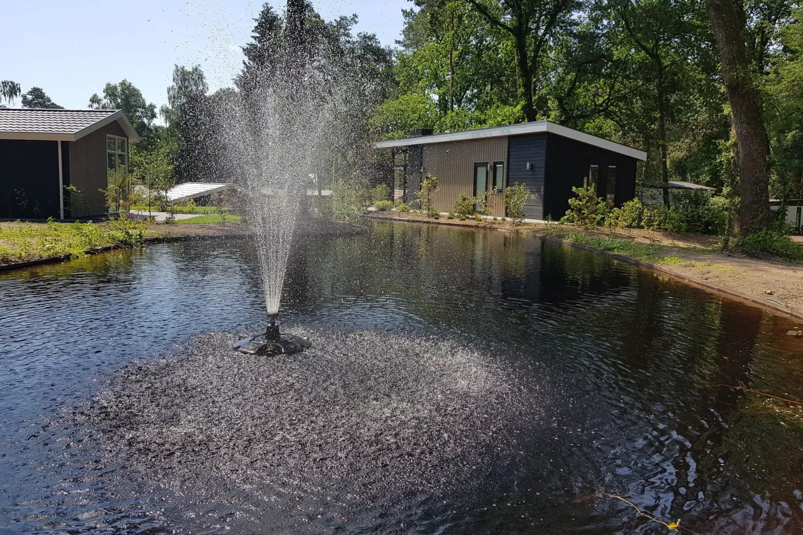 Vakantiepark De Rimboe & De Woeste Hoogte 8-Gebieden zomer 1km