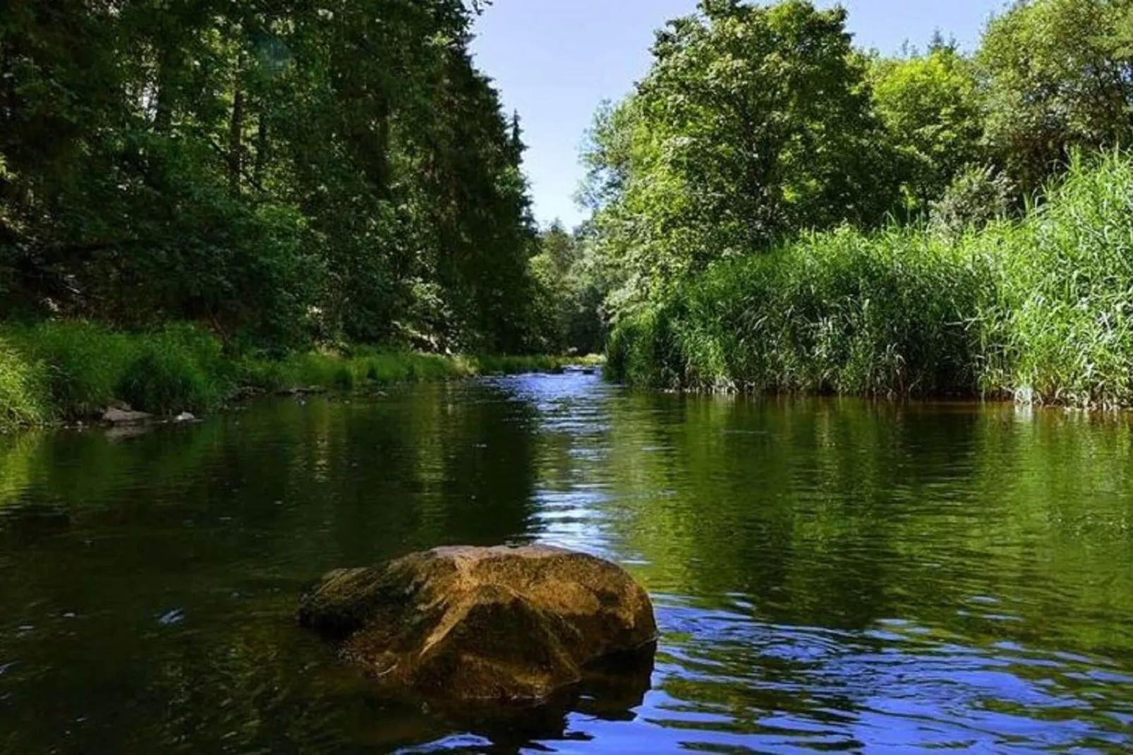 Villa Rotschönberg-Gebieden zomer 20km