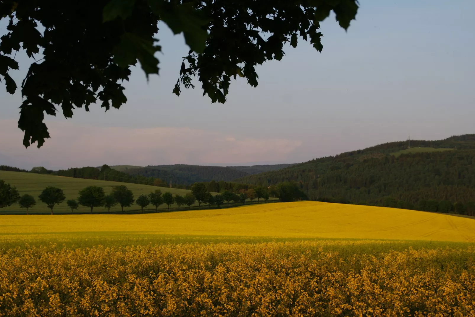 Ferienhaus Rechenberg Bienemuhle-Gebieden zomer 5km