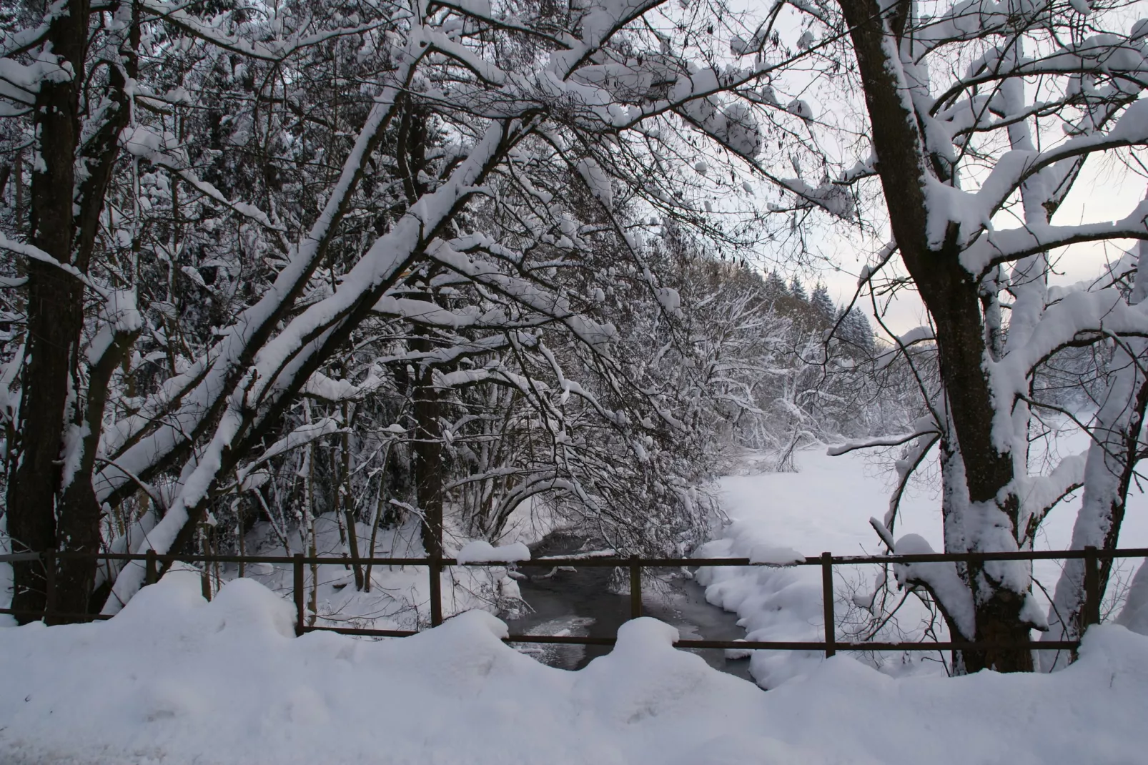 Ferienhaus Rechenberg Bienemuhle-Gebied winter 5km