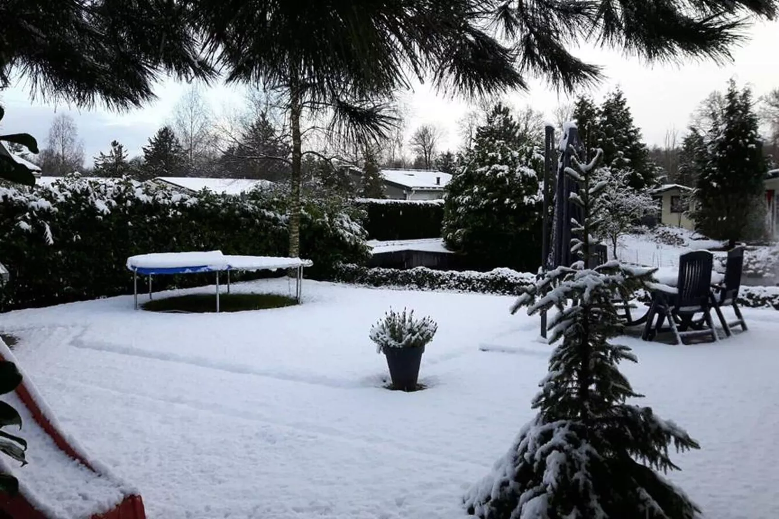 Genieten in Voorthuizen-Tuin winter