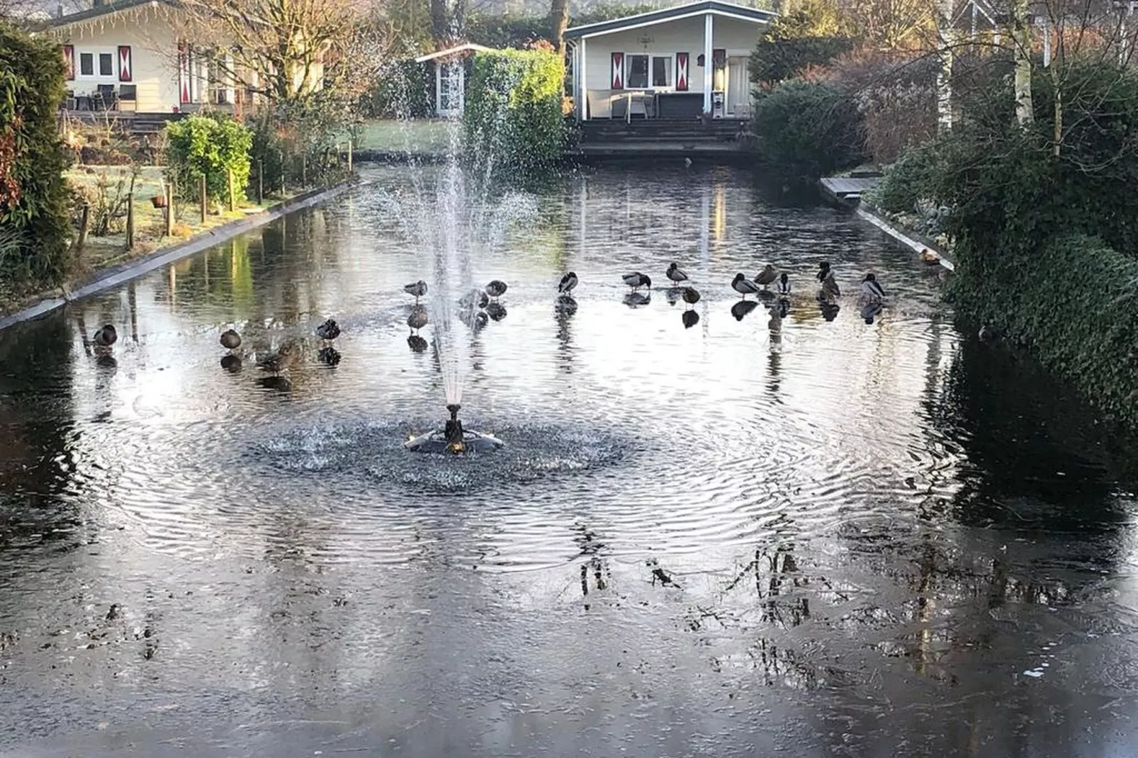 Genieten in Voorthuizen-Uitzicht winter