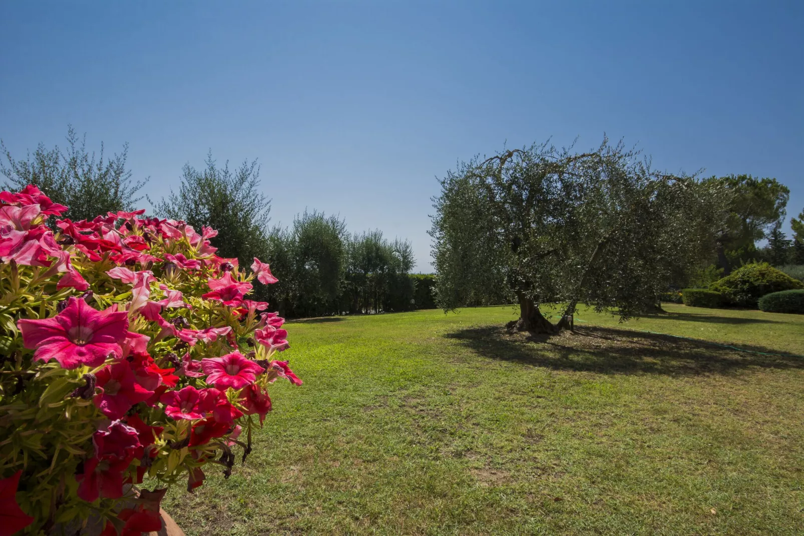 Prato-Tuinen zomer