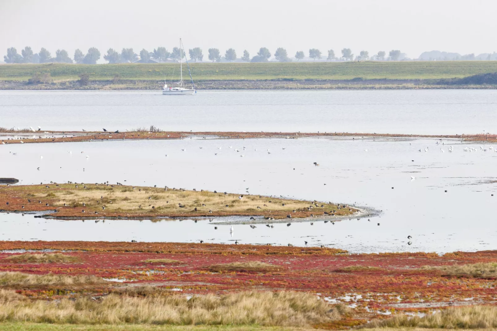 Domein Het Camperveer Veerse Meer 2-Gebieden zomer 5km