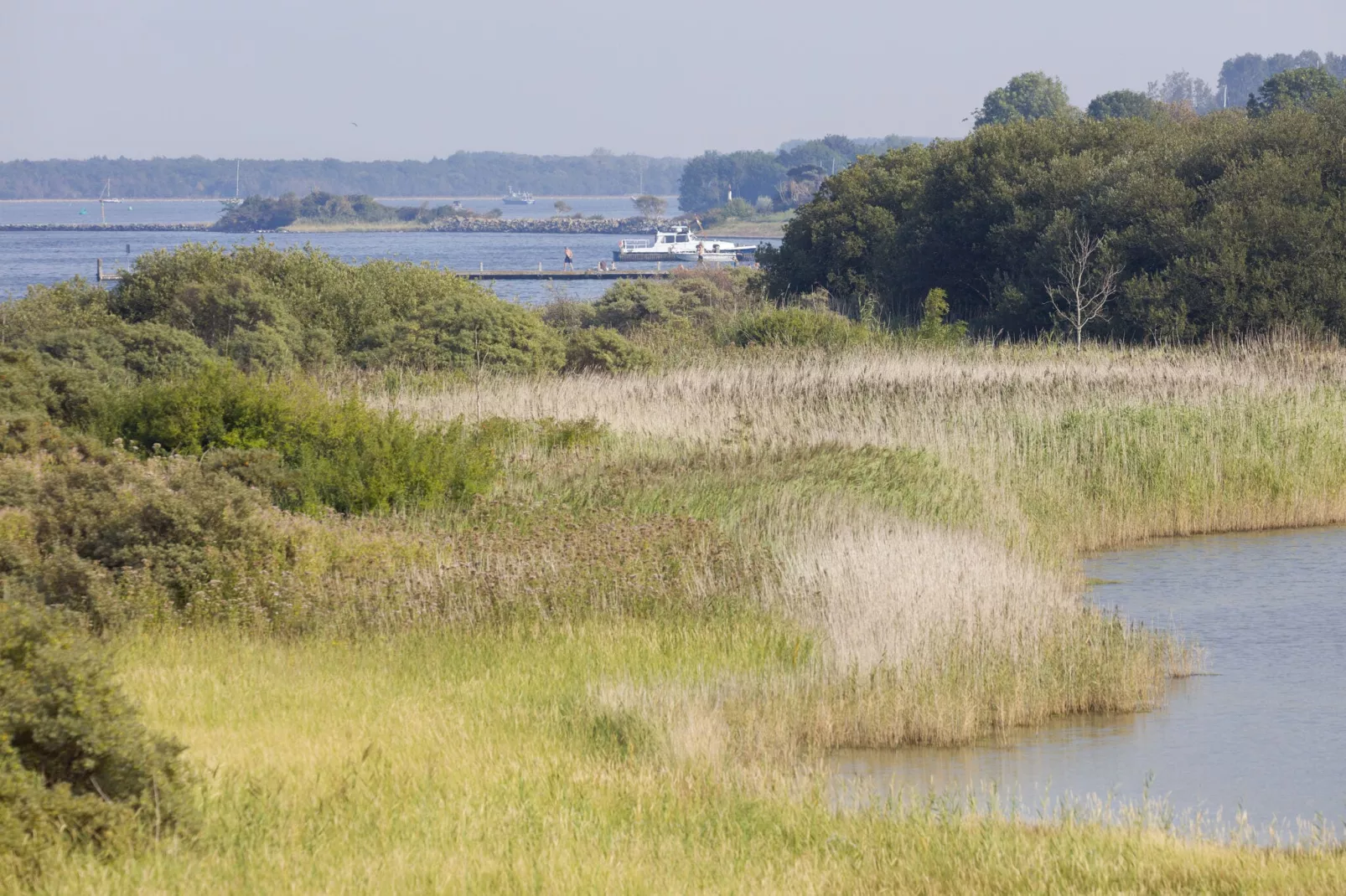 Domein Het Camperveer Veerse Meer 2-Gebieden zomer 5km