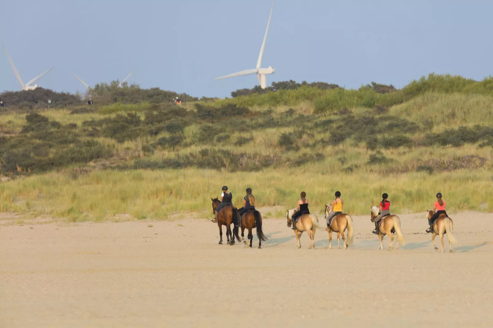 Domein Het Camperveer Veerse Meer 2-Gebieden zomer 1km