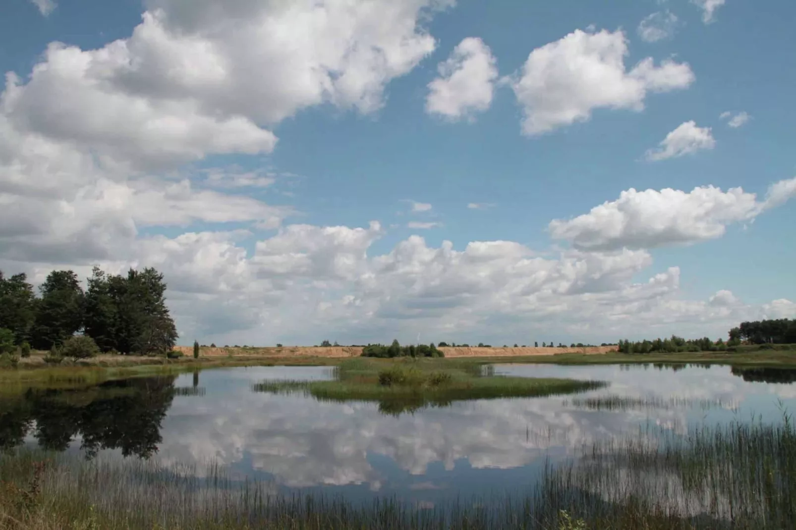 Natuurhuis Dichtbij-Gebieden zomer 5km