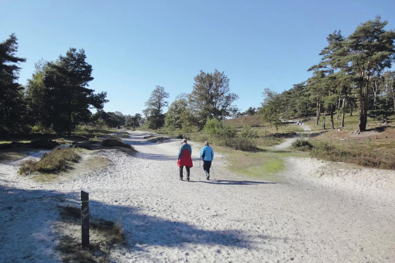 Resort Brunssummerheide 23-Gebieden zomer 5km