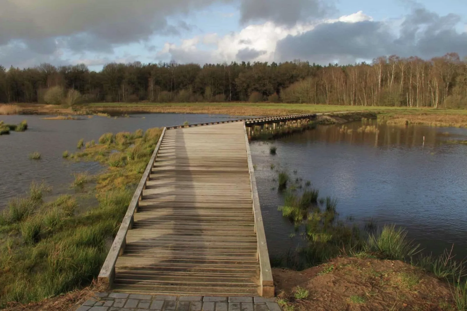 Natuurhuis Dichtbij-Gebieden zomer 5km