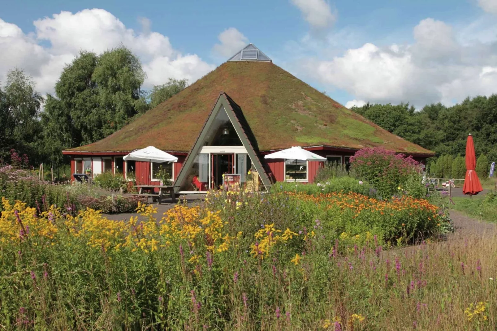 Natuurhuis Dichtbij-Gebieden zomer 20km