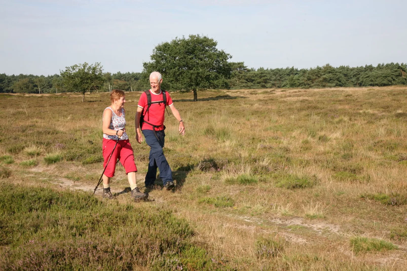 Landgoed Het Grote Zand 1-Gebieden zomer 1km