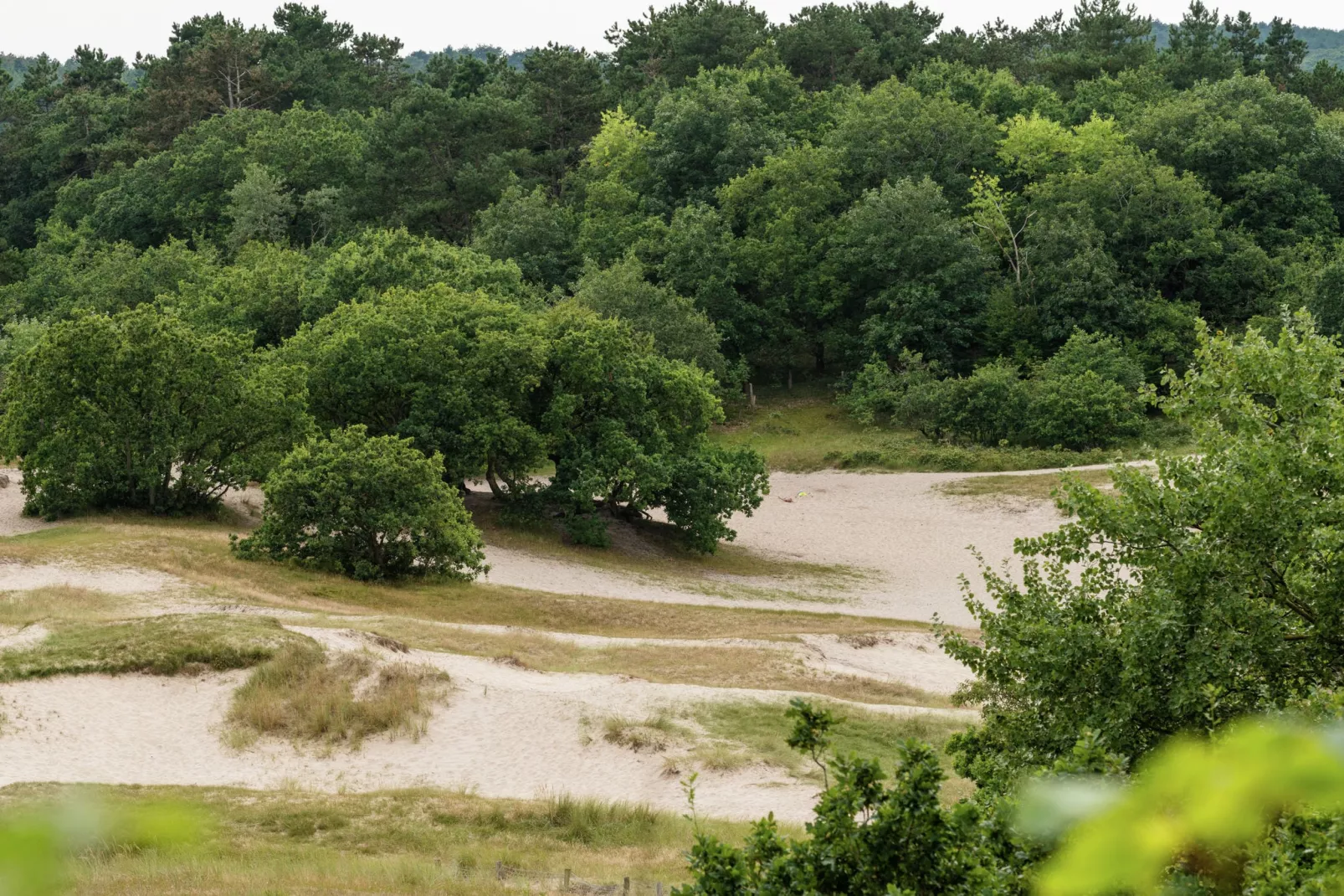 Hof van Craeck III-Gebieden zomer 5km