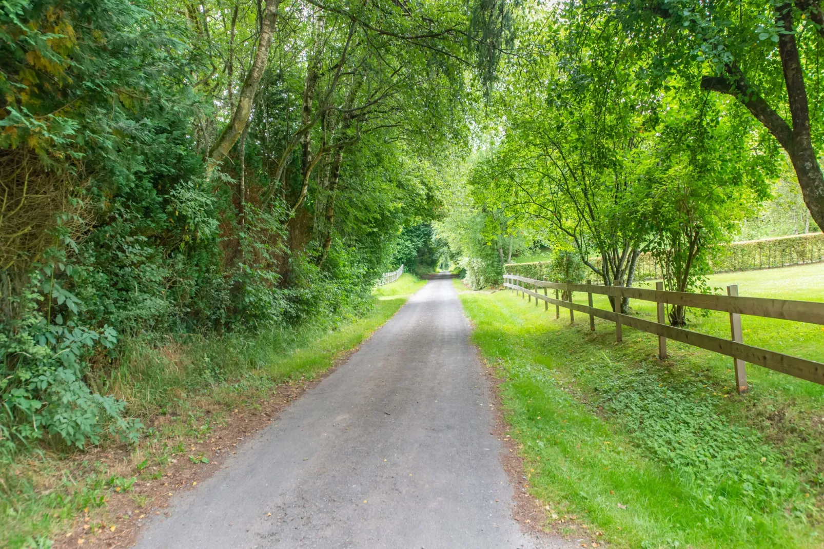 Charmante habitation pour 8 Adultes-Gebieden zomer 1km