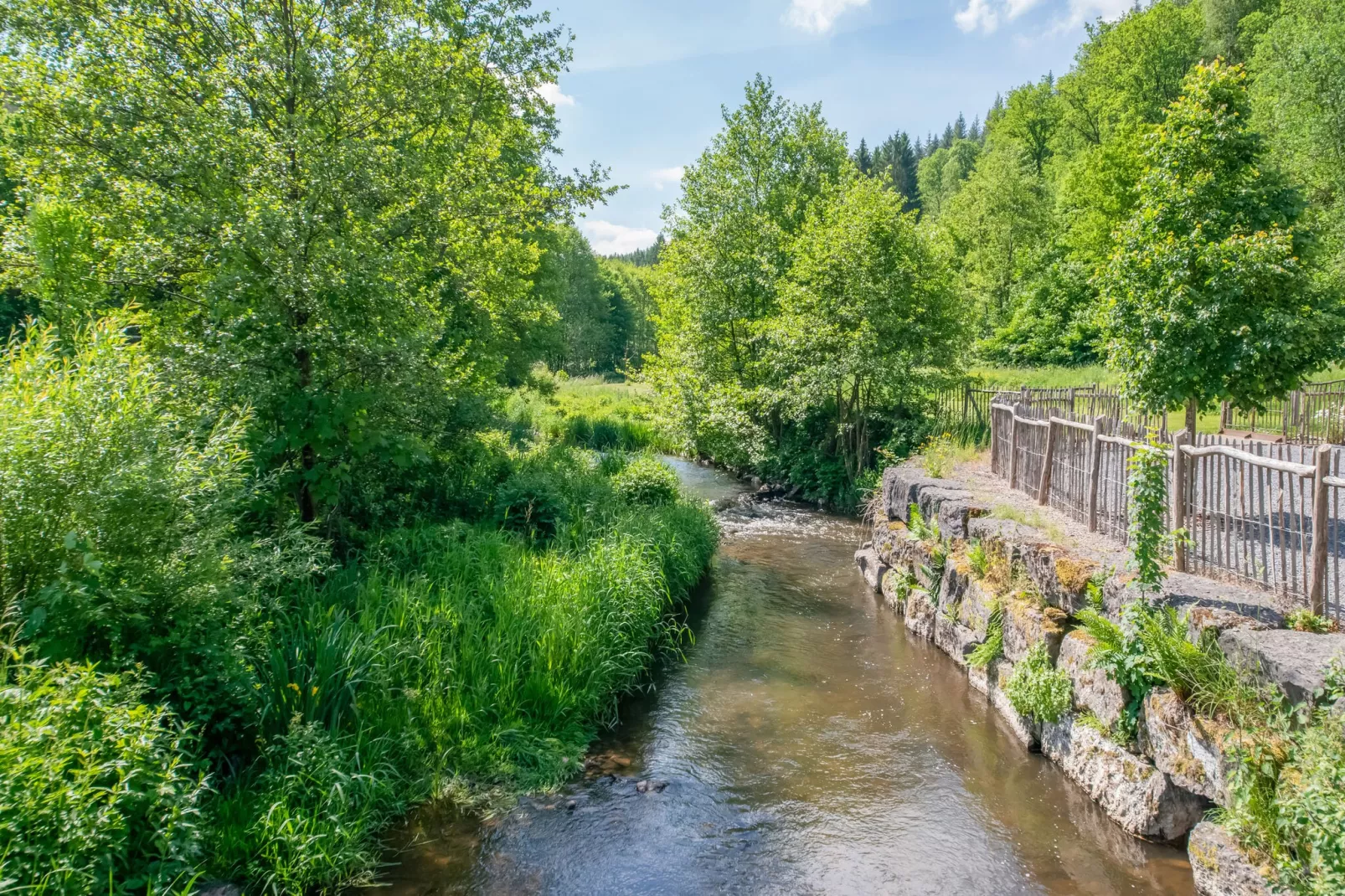 Charmante habitation pour 8 Adultes-Gebieden zomer 5km