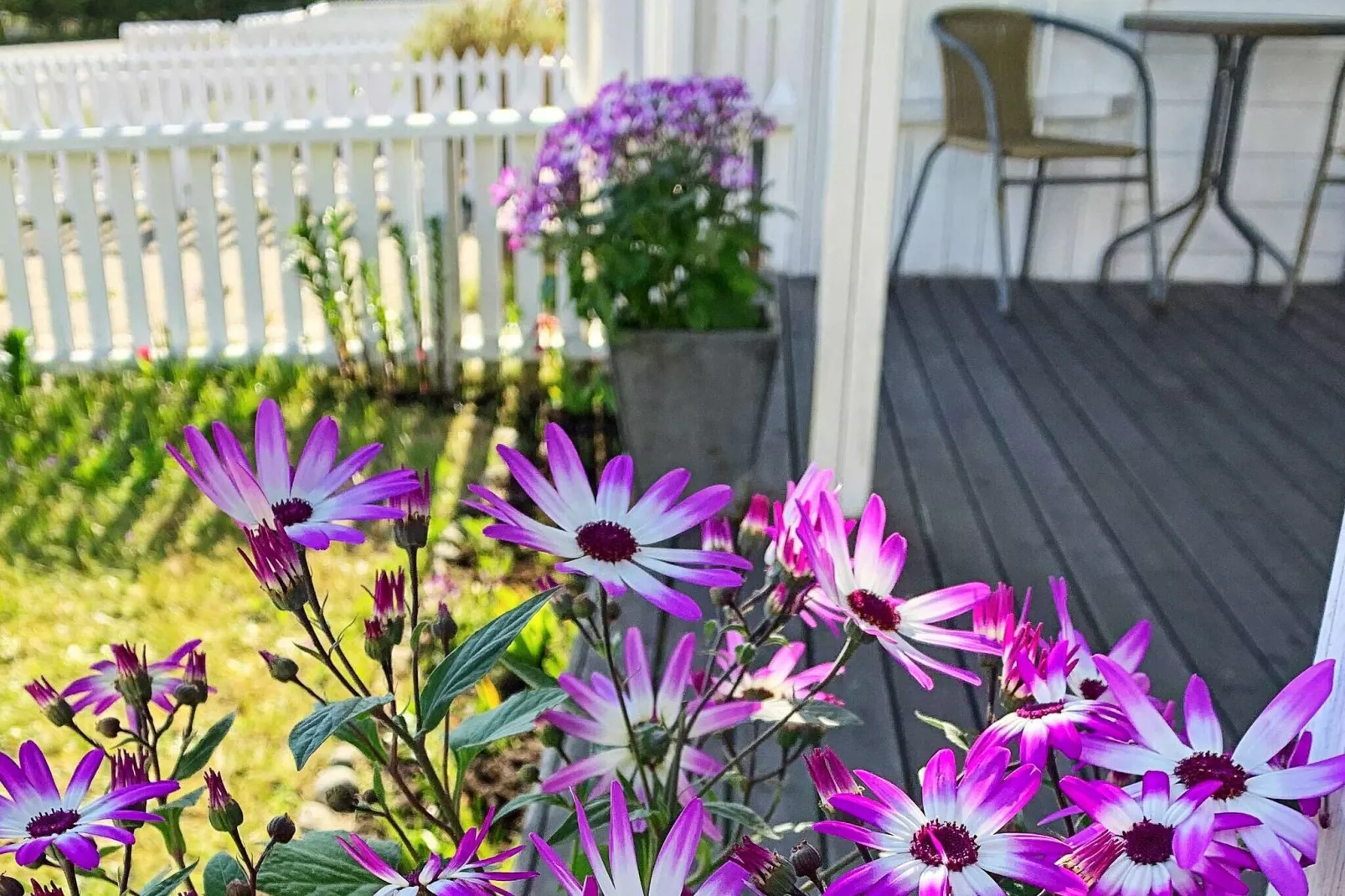 8 persoons vakantie huis in Lindesnes-By Traum-Buitenlucht