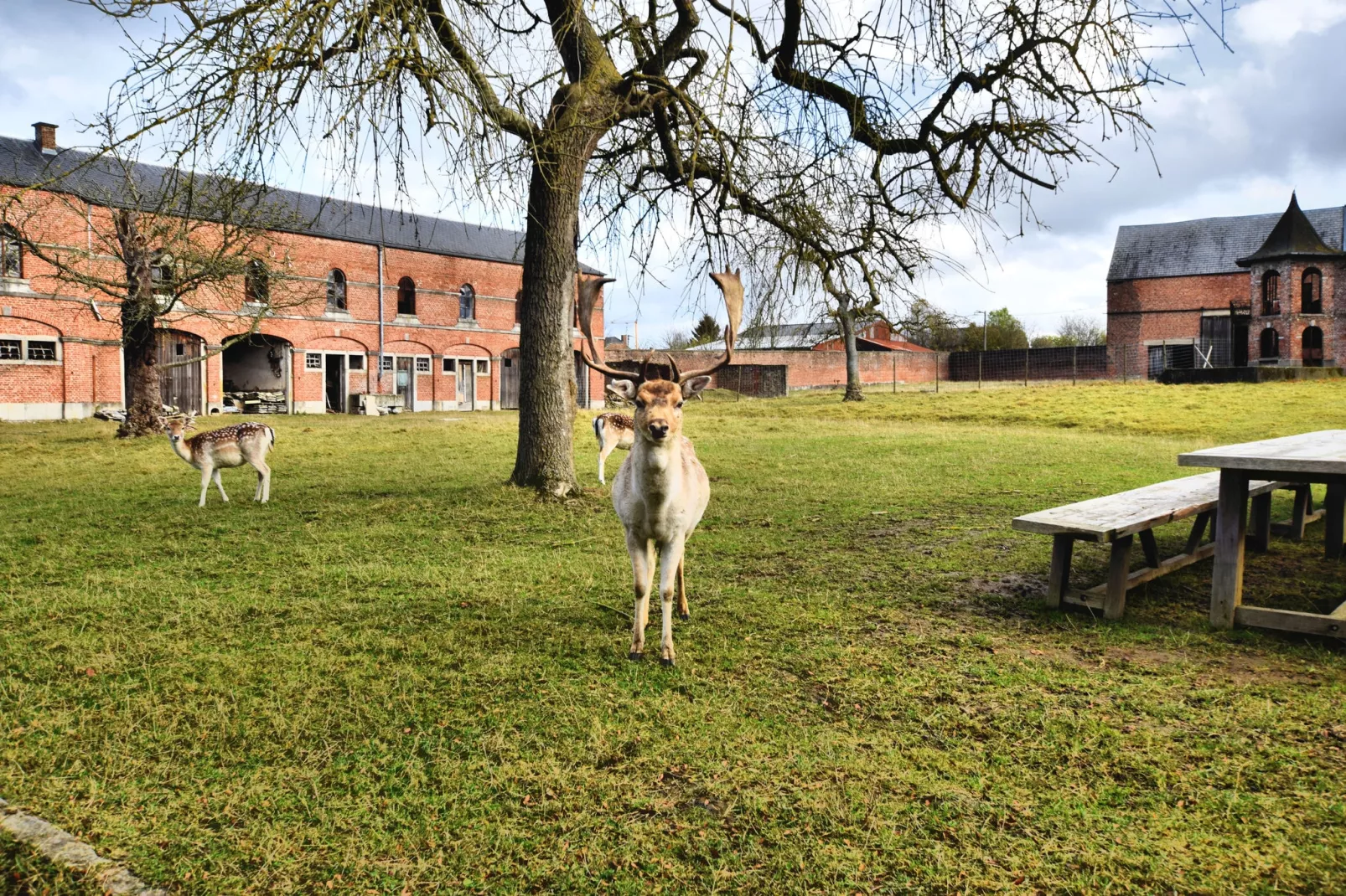 Chateau-ferme Delhaise-Tuinen zomer