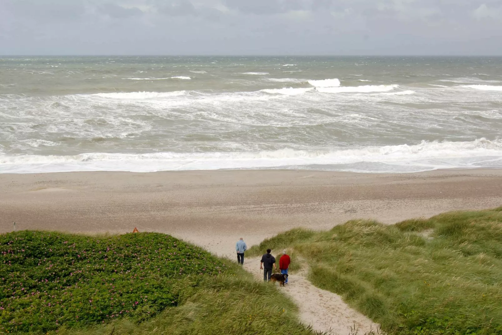 4 persoons vakantie huis in Lemvig-Uitzicht