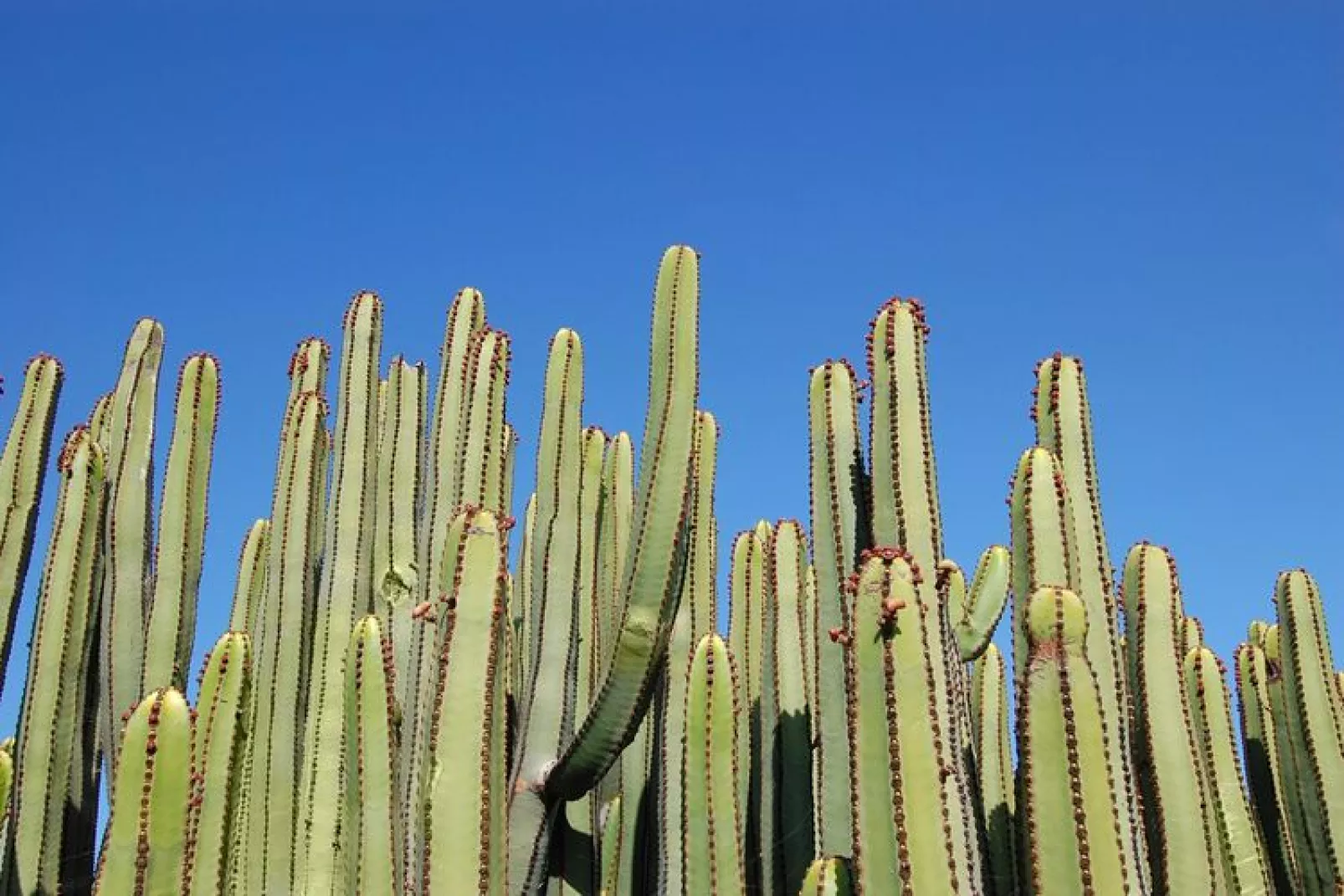 Par 4 Villa 24 Maspalomas-Gebieden zomer 1km