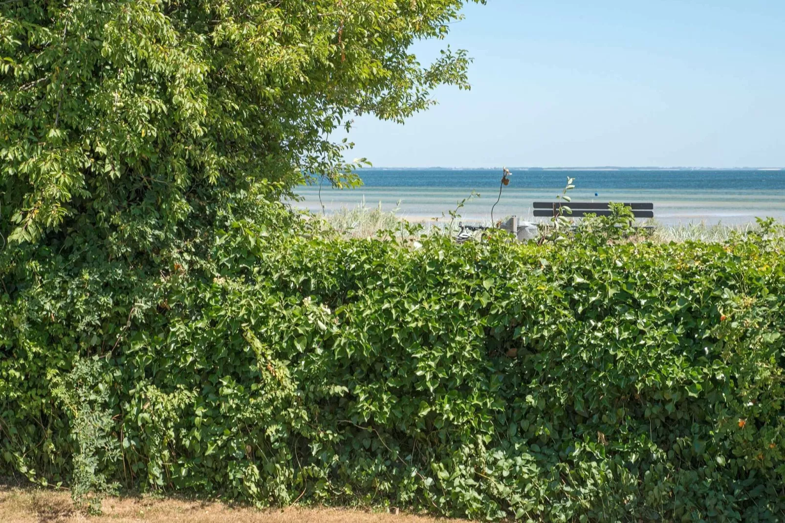 6 persoons vakantie huis in Sjølund-By Traum-Niet-getagd