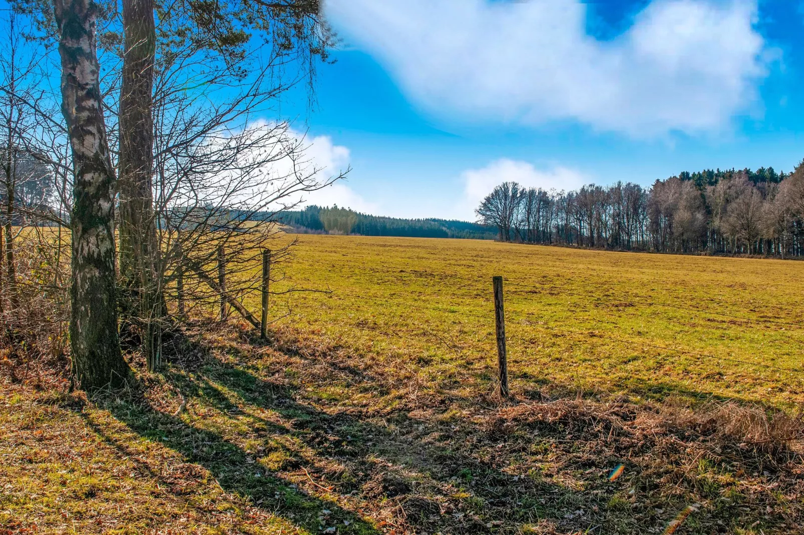 Très belle habitation à Lierneux pour 5 adultes-Gebieden zomer 1km