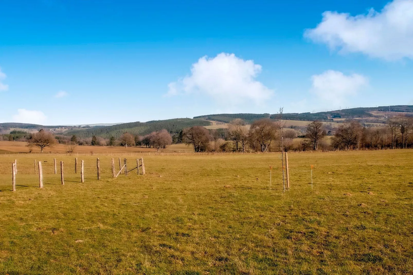 Très belle habitation à Lierneux pour 5 adultes-Gebieden zomer 5km